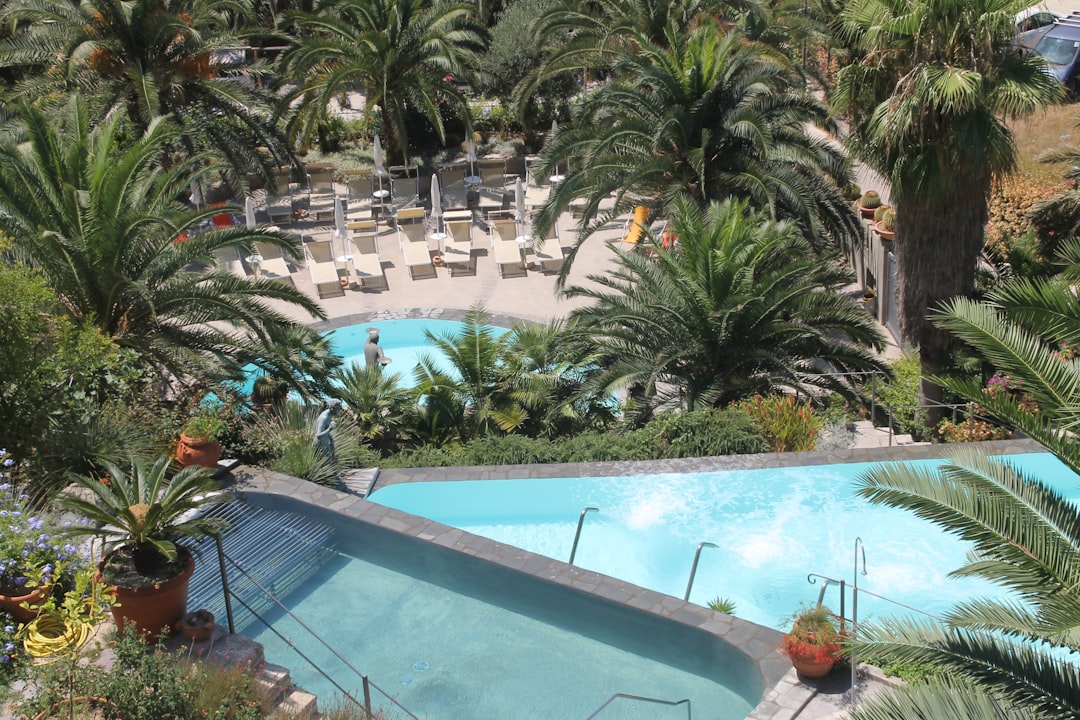 green coconut trees and pools