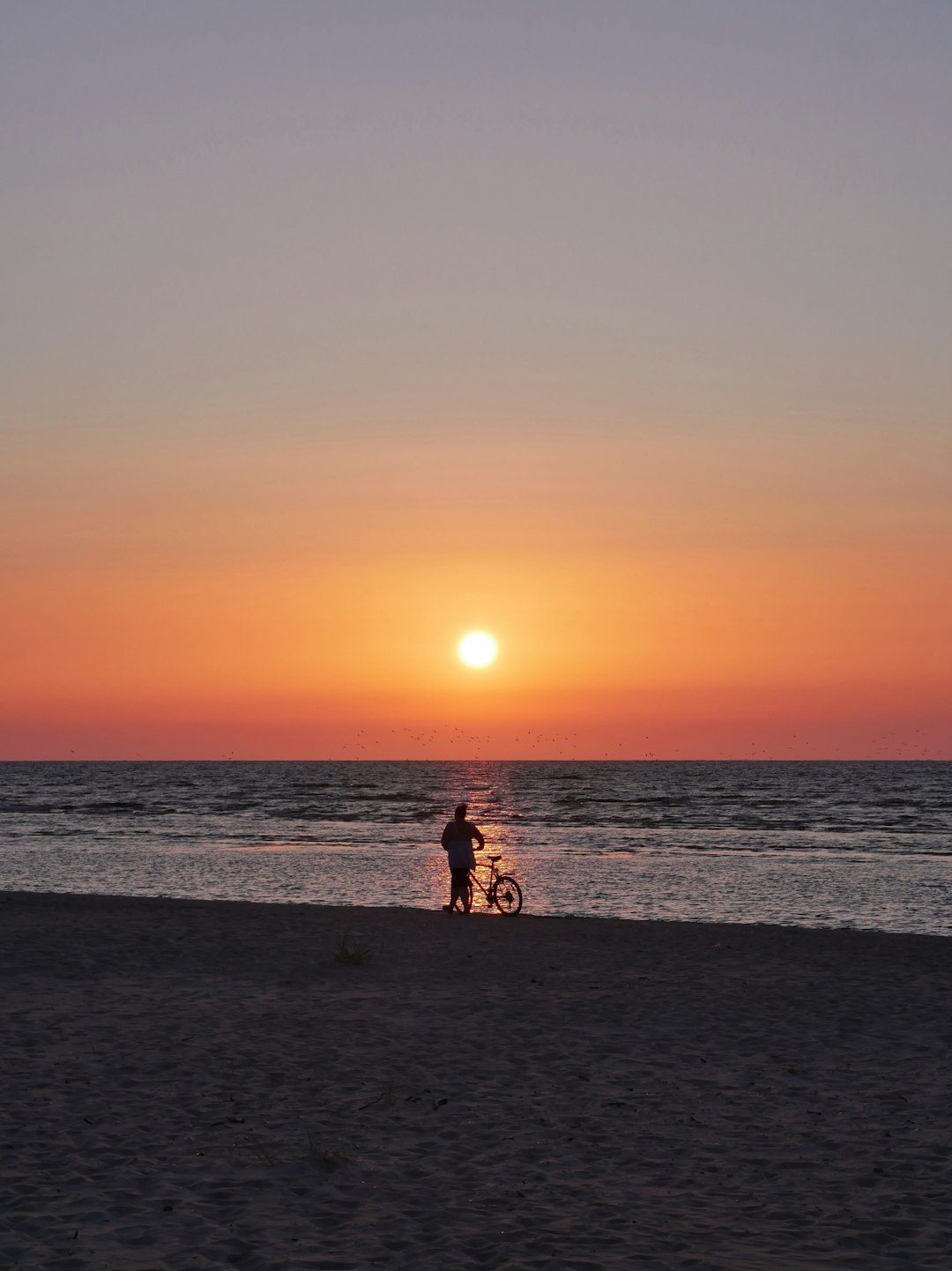 silhouette of 2 people sitting on beach during sunset