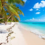 Featured image for 15 Hidden Gems for Florida Travel Youve Never Heard Of 2025