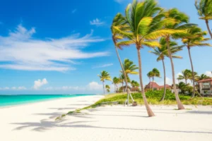 Featured image for Which Florida Destinations Offer the Best All-Inclusive Beach Resorts 2025