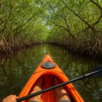 Featured image for Paddle the Ten Thousand Islands 10 Mangrove Kayaking Secrets 2026